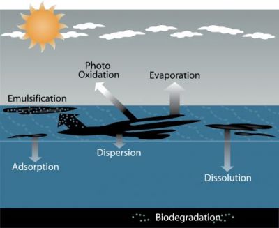 Figure showing the weathering processes affecting oil spills.