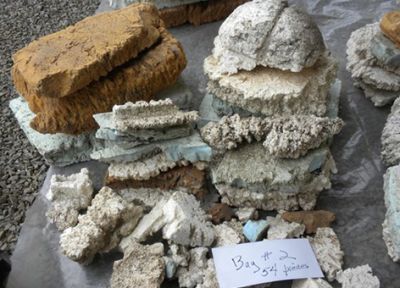 Styrofoam found on Washington's Long Beach Peninsula.