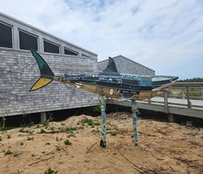 Atlantic White Shark sculpture constructed out of marine debris collected from seashore beaches