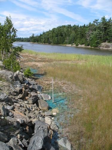 Photo: Green copper seepage into an estuary