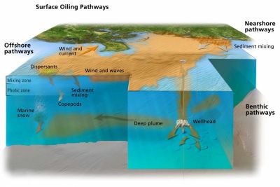 A diagram of an oil spill.