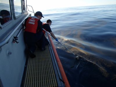 Two people on a boat grabbing a sample of oil in water.