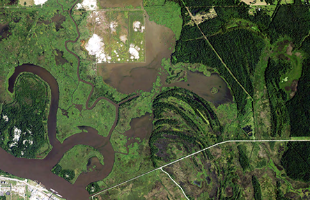 An aerial view of a marsh. 