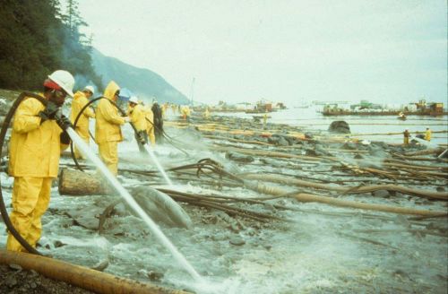 Cleanup works washing a beach.