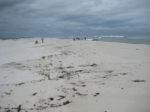 Tarballs on a beach.