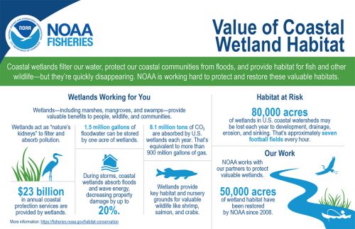 Infographic with numbers, small illustrations and text. 