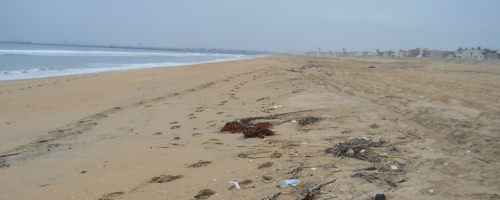 Marine debris on a beach.