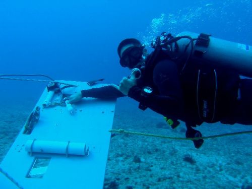 A scuba diver underwater. 