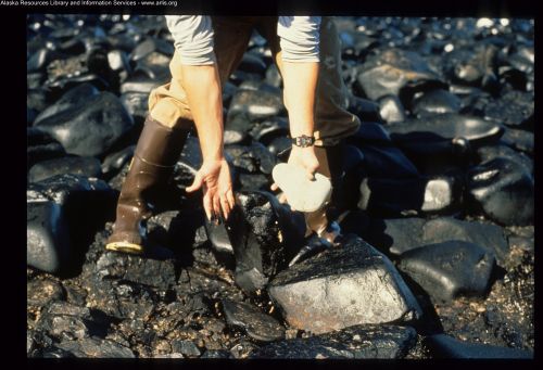 An image of someone with a rock in one hand and oil smeared on the other standing on an oiled rocky shoreline. 