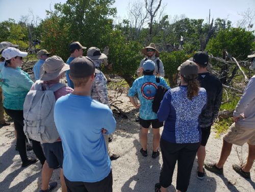 Group standing on a beach, listening to an instructor.