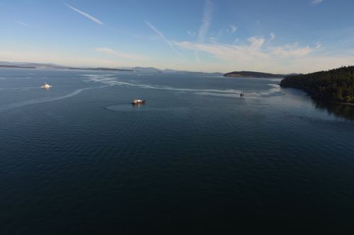 An aerial image of an oil sheen on a body of water.