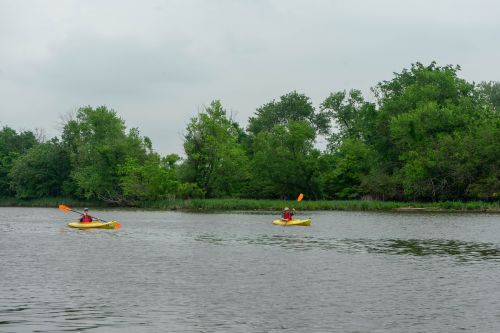 Two kayakers on a river with trees in the background.