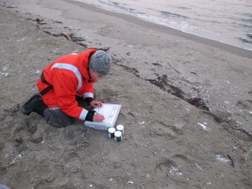 Woman crouched on a beach, working.