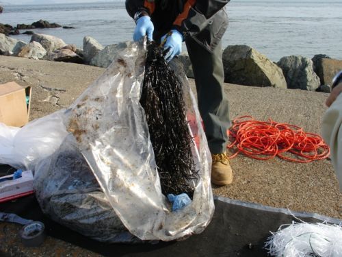 A man holds up a dirty oil-laden snare. 