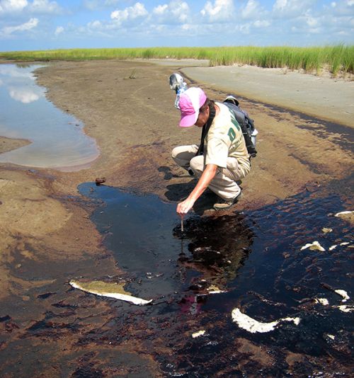 Person next to a patch of oil on a beach.