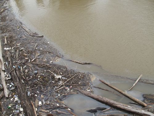 Oil sheen and debris in the water.