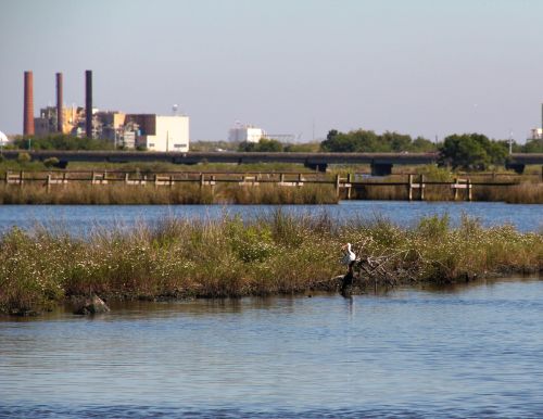 Marsh area with industrial buildings in background.