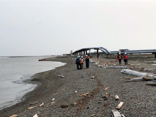 People walking along a beach.