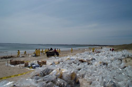 Bags of collected oil on a beach during cleanup operations. 