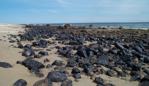 Oiled rocks on a beach.