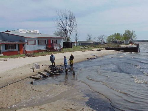 People standing by an oiled beach.