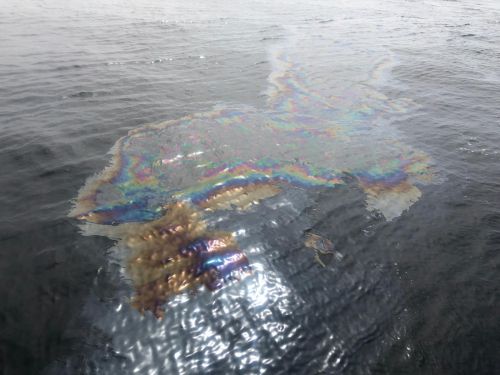 Oil sheen on water.