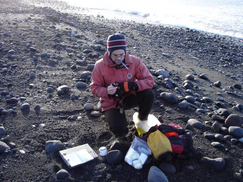 Scientist sampling on the beach.