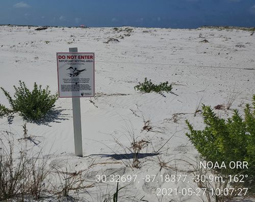 Beach with sign warning of bird nesting area.