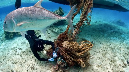 A diver reaching out to a tangle of fish netting.