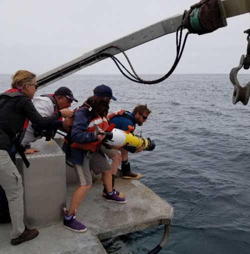 People looking over the side of a boat with equipment.