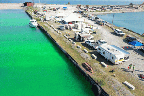 An aerial image of a bright green waterway.