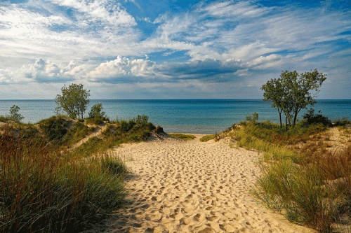 A beach coastline. 