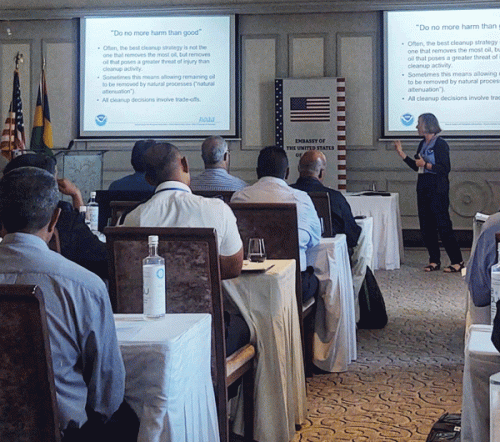 A person presenting to a room of people.