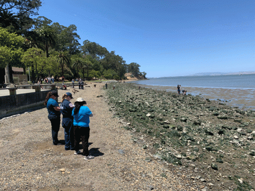 People on a beach.