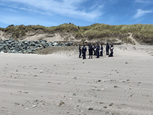 A group of people on a beach.