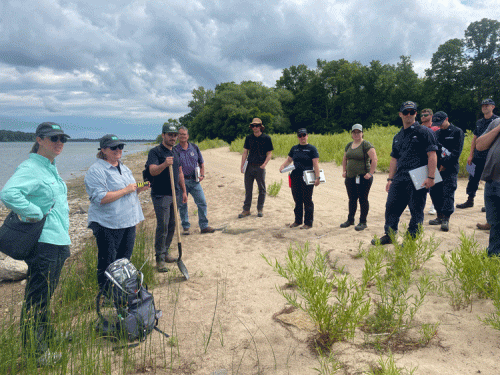 A group of people on a shoreline.