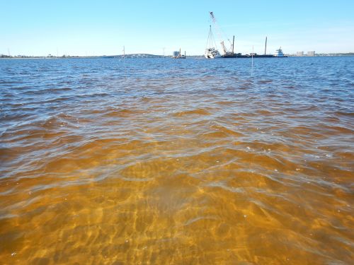 Sea grass visible under water near where vessel sank.