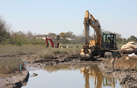 Heavy equipment and people working in a marshy area. 