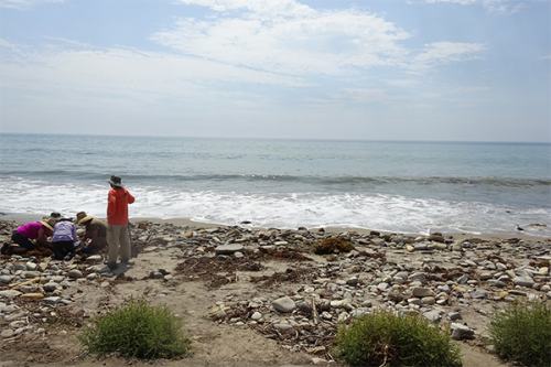 Small group of people on a beach.