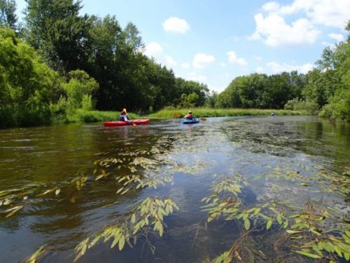 View of river with Kayaker in background.