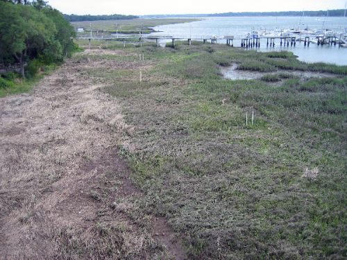 Grassy area at water's edge.