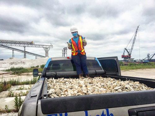 Person standing in a large container of oyster shells.