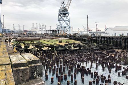 Pilings in the water, with structures behind. 