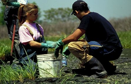 Two people working in a marshy area. 