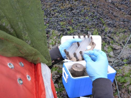 Hands holding sampling equipment.