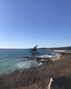 Beach view at water's edge.