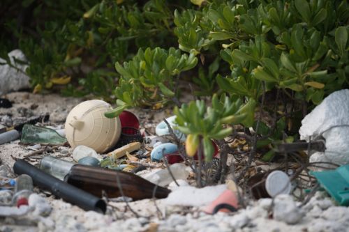 Debris on a beach.