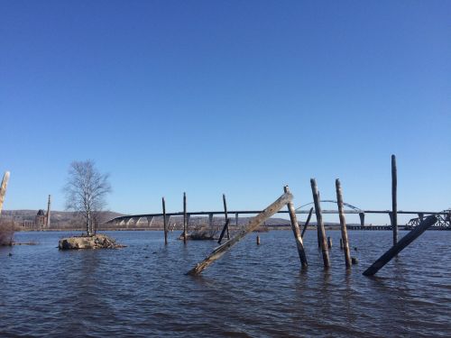 Wood stakes protruding from water.