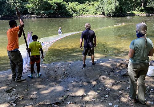 People gathered at river's edge, looking at work being done in the water with a large net. 