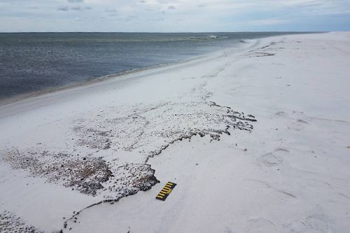 An oiled beach with ruler in foreground to show scale.